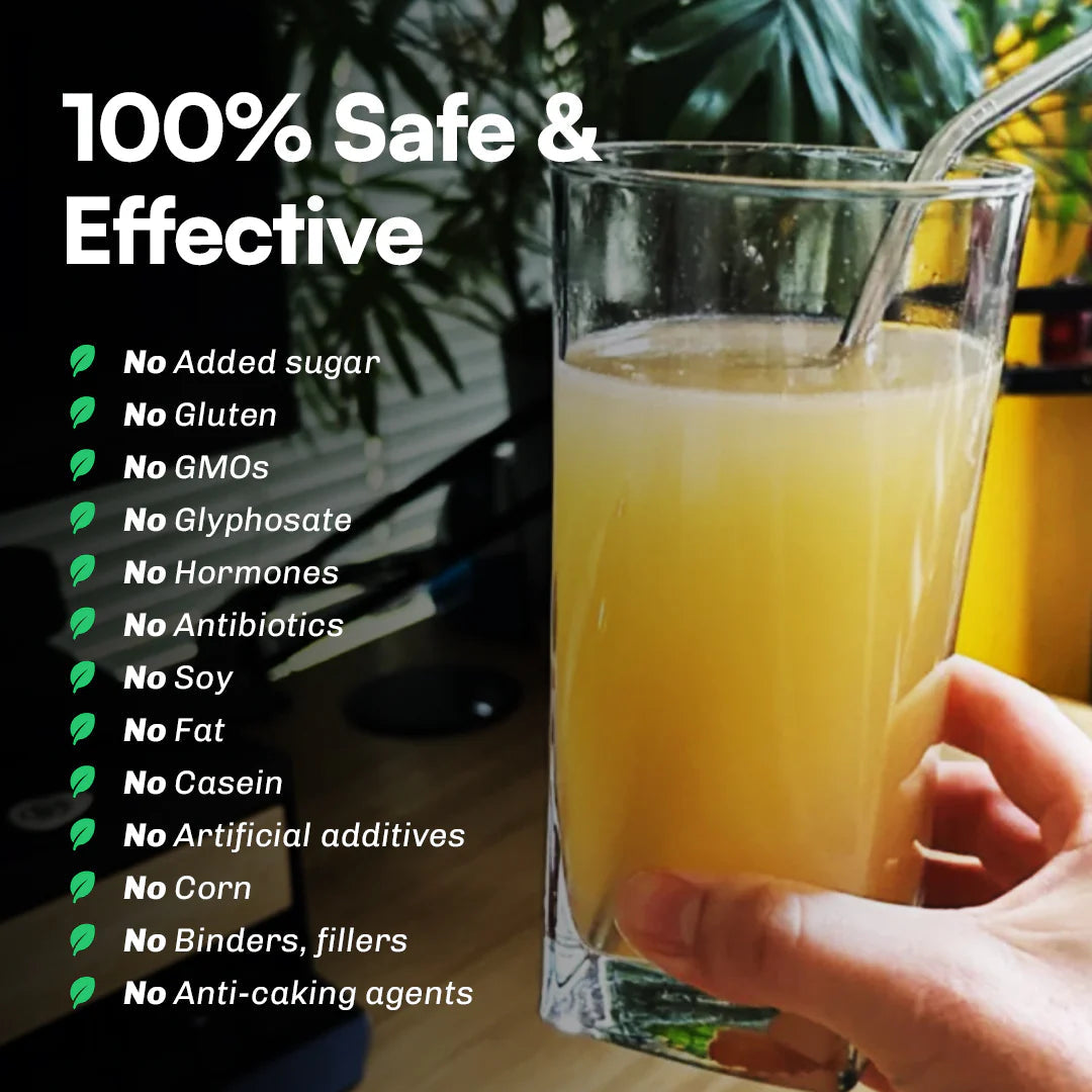 Yerba Mate Instant Tea Powder